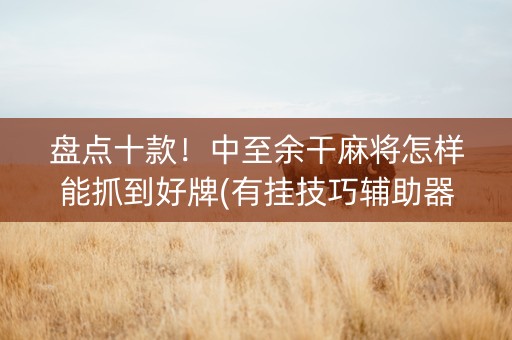 盘点十款！中至余干麻将怎样能抓到好牌(有挂技巧辅助器)
