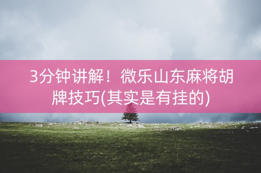 3分钟讲解！微乐山东麻将胡牌技巧(其实是有挂的)