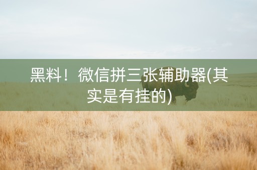 黑料！微信拼三张辅助器(其实是有挂的)