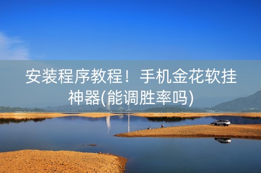 安装程序教程！手机金花软挂神器(能调胜率吗)