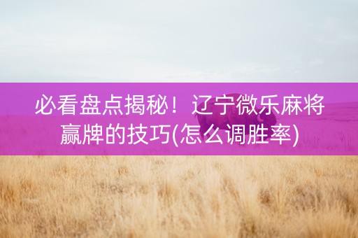 必看盘点揭秘！辽宁微乐麻将赢牌的技巧(怎么调胜率)