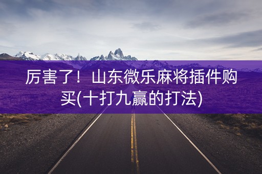 厉害了！山东微乐麻将插件购买(十打九赢的打法)
