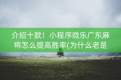 介绍十款！小程序微乐广东麻将怎么提高胜率(为什么老是输呢)