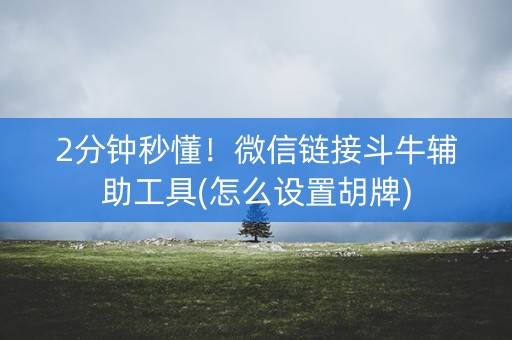 2分钟秒懂！微信链接斗牛辅助工具(怎么设置胡牌)