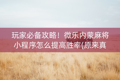 玩家必备攻略！微乐内蒙麻将小程序怎么提高胜率(原来真的有挂)