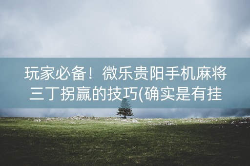 玩家必备！微乐贵阳手机麻将三丁拐赢的技巧(确实是有挂)