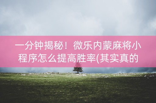 一分钟揭秘！微乐内蒙麻将小程序怎么提高胜率(其实真的有挂)