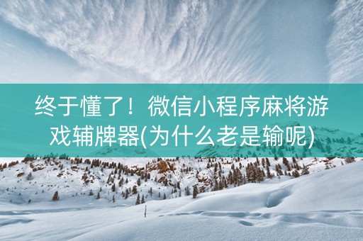 终于懂了！微信小程序麻将游戏辅牌器(为什么老是输呢)