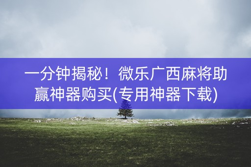 一分钟揭秘！微乐广西麻将助赢神器购买(专用神器下载)