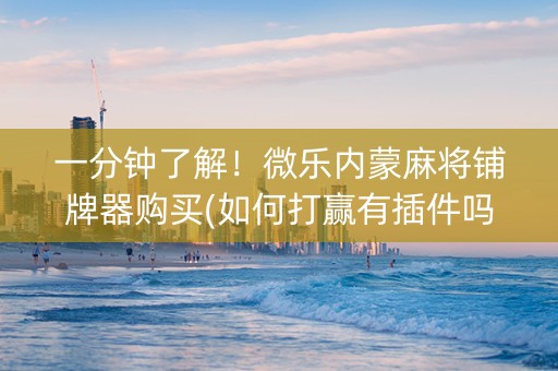一分钟了解！微乐内蒙麻将铺牌器购买(如何打赢有插件吗)