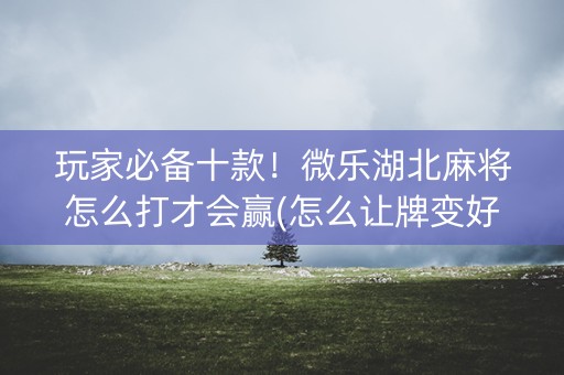 玩家必备十款！微乐湖北麻将怎么打才会赢(怎么让牌变好)