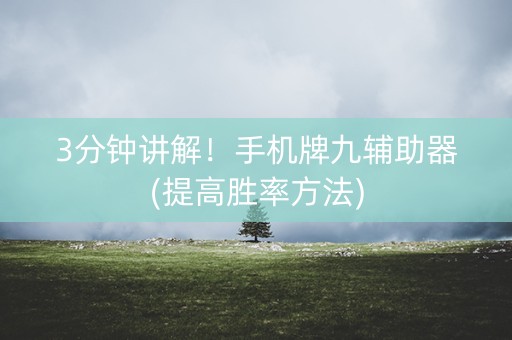 3分钟讲解！手机牌九辅助器(提高胜率方法)