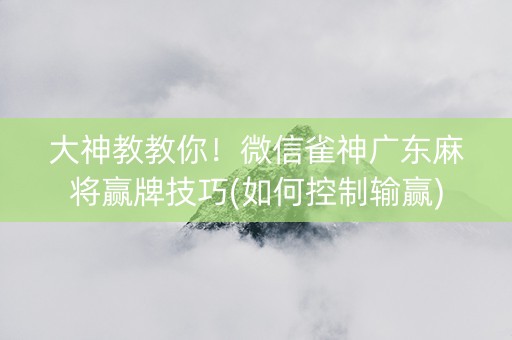 大神教教你！微信雀神广东麻将赢牌技巧(如何控制输赢)