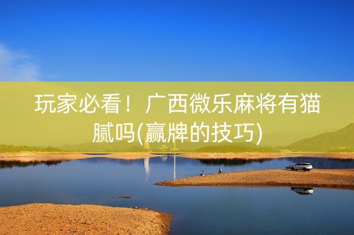 玩家必看！广西微乐麻将有猫腻吗(赢牌的技巧)