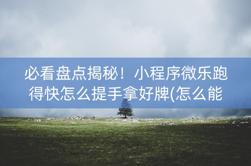 必看盘点揭秘！小程序微乐跑得快怎么提手拿好牌(怎么能调好牌)