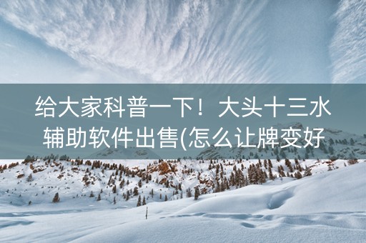 给大家科普一下！大头十三水辅助软件出售(怎么让牌变好)