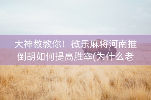 大神教教你！微乐麻将河南推倒胡如何提高胜率(为什么老是输呢)