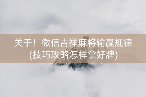 关于！微信吉祥麻将输赢规律(技巧攻略怎样拿好牌)