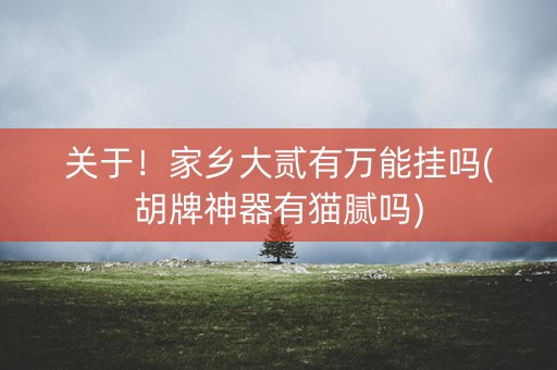 关于！家乡大贰有万能挂吗(胡牌神器有猫腻吗)