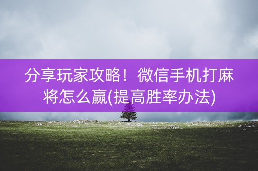 分享玩家攻略！微信手机打麻将怎么赢(提高胜率办法)