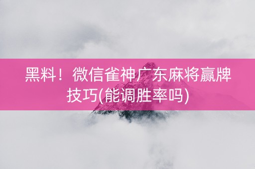 黑料！微信雀神广东麻将赢牌技巧(能调胜率吗)