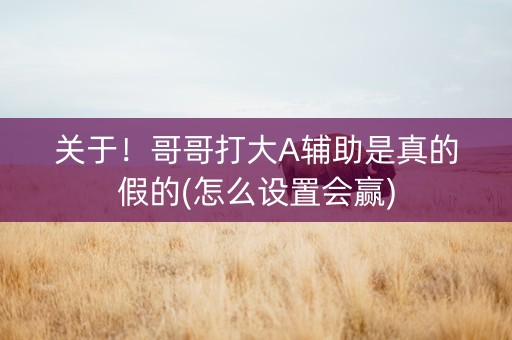 关于！哥哥打大A辅助是真的假的(怎么设置会赢)
