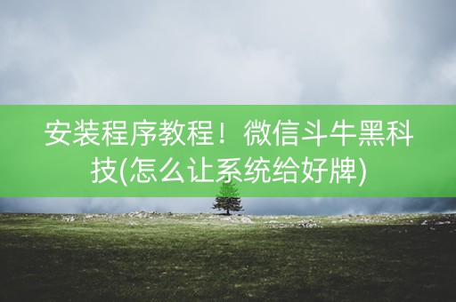 安装程序教程！微信斗牛黑科技(怎么让系统给好牌)