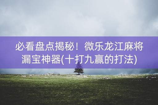 必看盘点揭秘！微乐龙江麻将漏宝神器(十打九赢的打法)