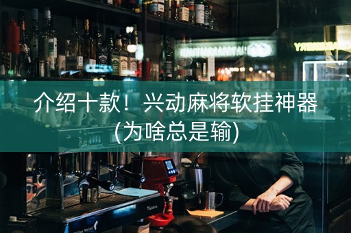 介绍十款！兴动麻将软挂神器(为啥总是输)