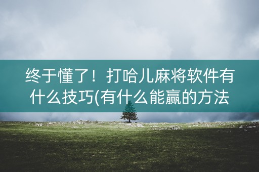 终于懂了！打哈儿麻将软件有什么技巧(有什么能赢的方法)