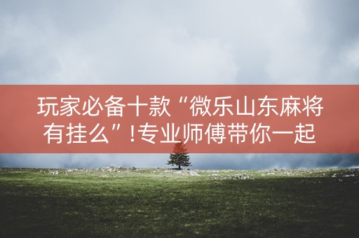 玩家必备十款“微乐山东麻将有挂么”!专业师傅带你一起了解（详细教程）-抖音