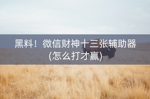 黑料！微信财神十三张辅助器(怎么打才赢)