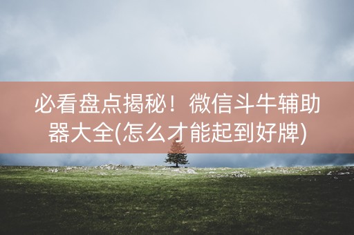 必看盘点揭秘！微信斗牛辅助器大全(怎么才能起到好牌)