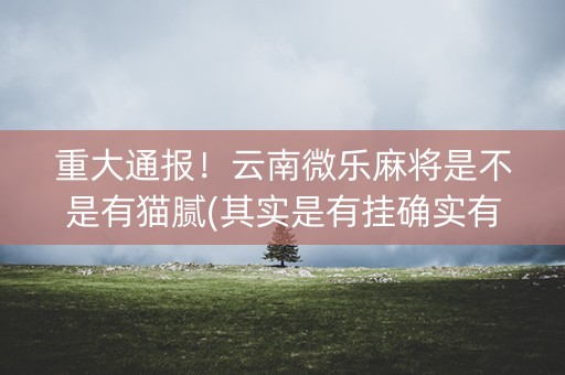 重大通报！云南微乐麻将是不是有猫腻(其实是有挂确实有挂)