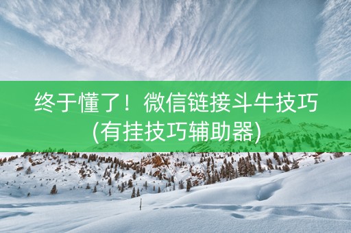 终于懂了！微信链接斗牛技巧(有挂技巧辅助器)