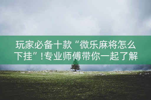 玩家必备十款“微乐麻将怎么下挂”!专业师傅带你一起了解（详细教程）-抖音