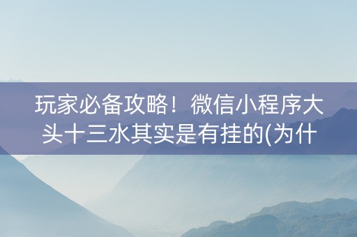 玩家必备攻略！微信小程序大头十三水其实是有挂的(为什么老是输呢)