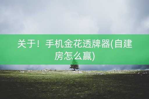 关于！手机金花透牌器(自建房怎么赢)