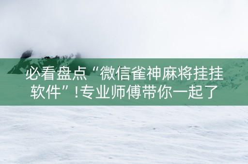 必看盘点“微信雀神麻将挂挂软件”!专业师傅带你一起了解（详细教程）-抖音