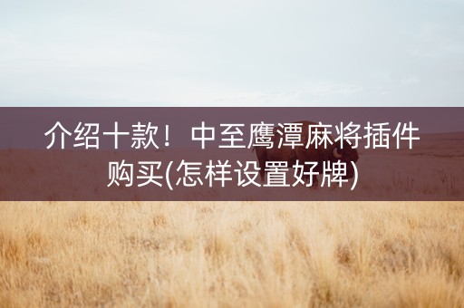 介绍十款！中至鹰潭麻将插件购买(怎样设置好牌)