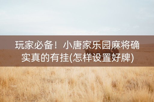 玩家必备！小唐家乐园麻将确实真的有挂(怎样设置好牌)