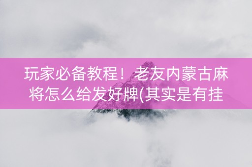 玩家必备教程！老友内蒙古麻将怎么给发好牌(其实是有挂确实有挂)