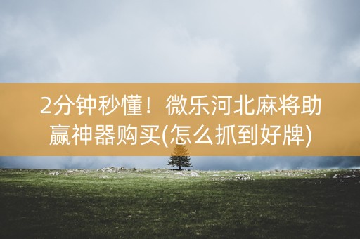 2分钟秒懂！微乐河北麻将助赢神器购买(怎么抓到好牌)