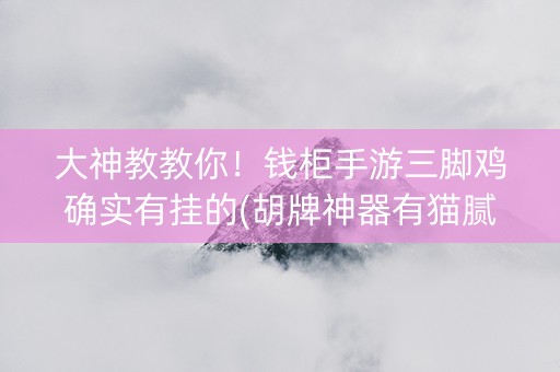 大神教教你！钱柜手游三脚鸡确实有挂的(胡牌神器有猫腻吗)