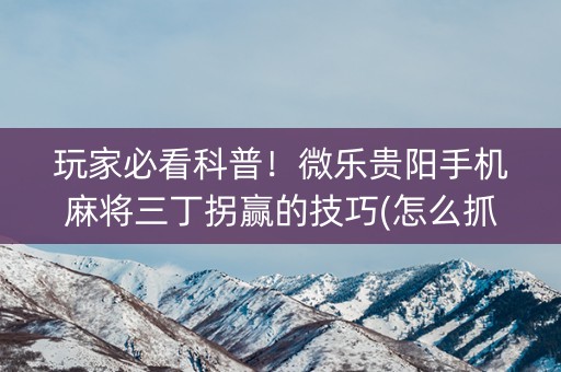玩家必看科普！微乐贵阳手机麻将三丁拐赢的技巧(怎么抓到好牌)