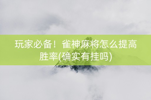 玩家必备！雀神麻将怎么提高胜率(确实有挂吗)