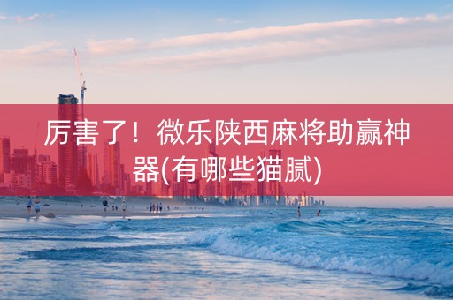 厉害了！微乐陕西麻将助赢神器(有哪些猫腻)