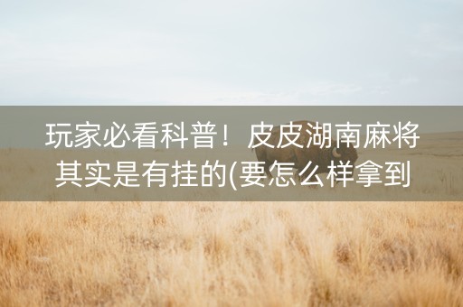 玩家必看科普！皮皮湖南麻将其实是有挂的(要怎么样拿到好牌)