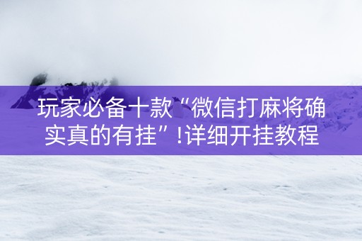 玩家必备十款“微信打麻将确实真的有挂”!详细开挂教程-抖音