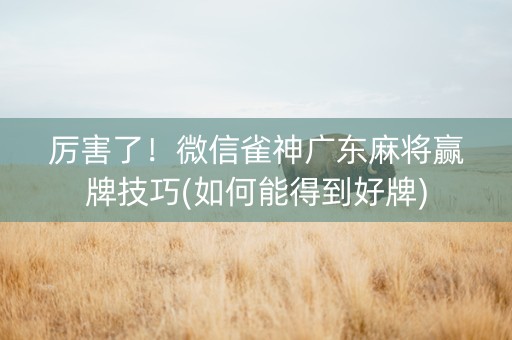 厉害了！微信雀神广东麻将赢牌技巧(如何能得到好牌)